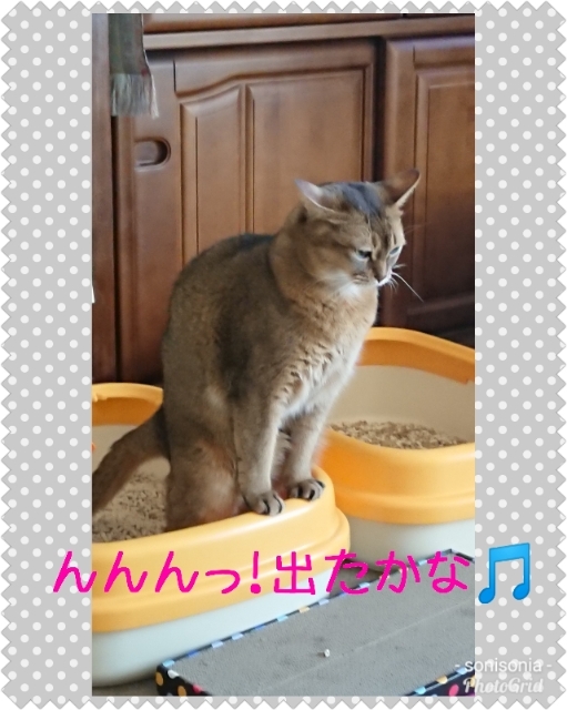 20190301222448152.jpg