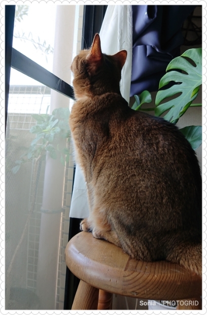 20190703215637971.jpg