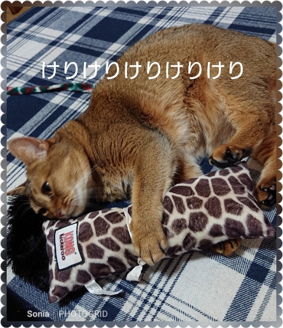 20190818111736692.jpg