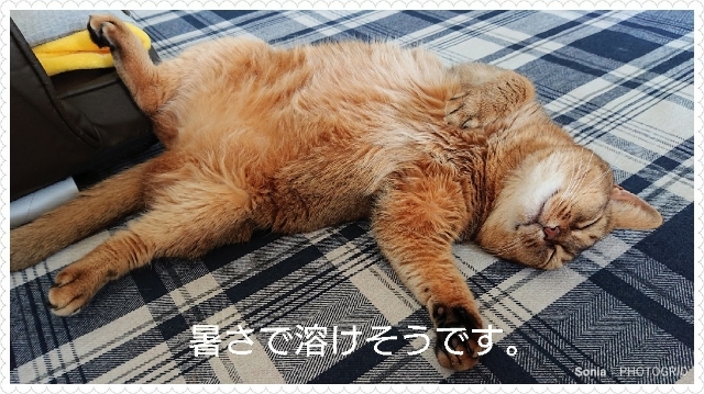 20190818111811650.jpg