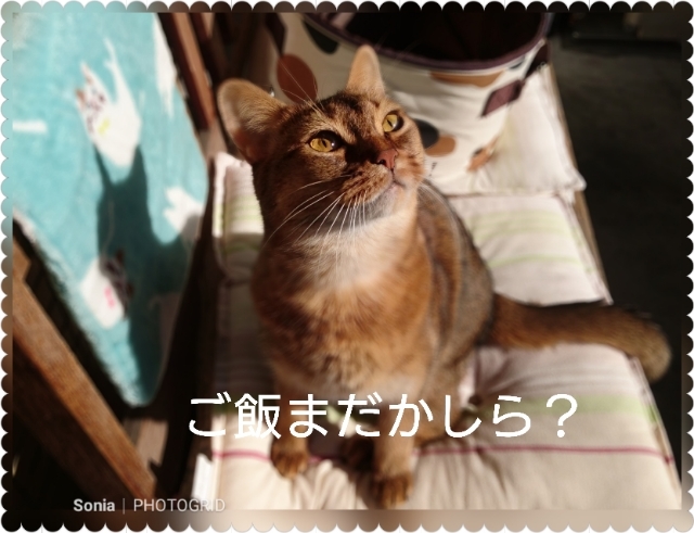 20190818111902965.jpg